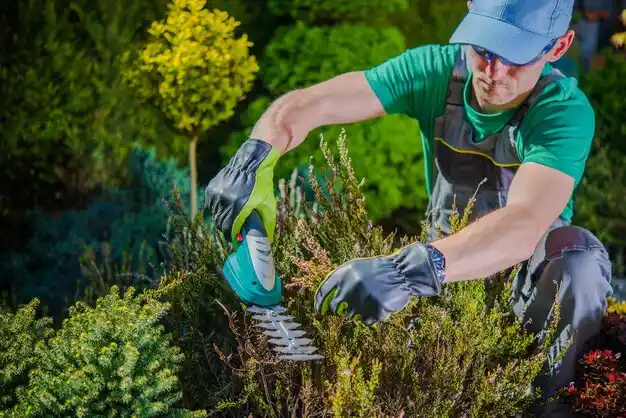 landscaping services Harriman